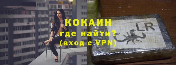 индика Армянск