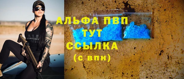 индика Армянск