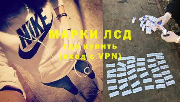 индика Армянск