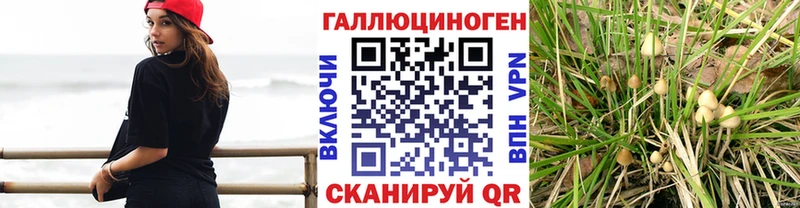 Псилоцибиновые грибы Magic Shrooms где продают наркотики ссылка на мегу маркетплейс Покачи